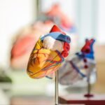 Tips for Discussing Heart Health With Your Cardiologist