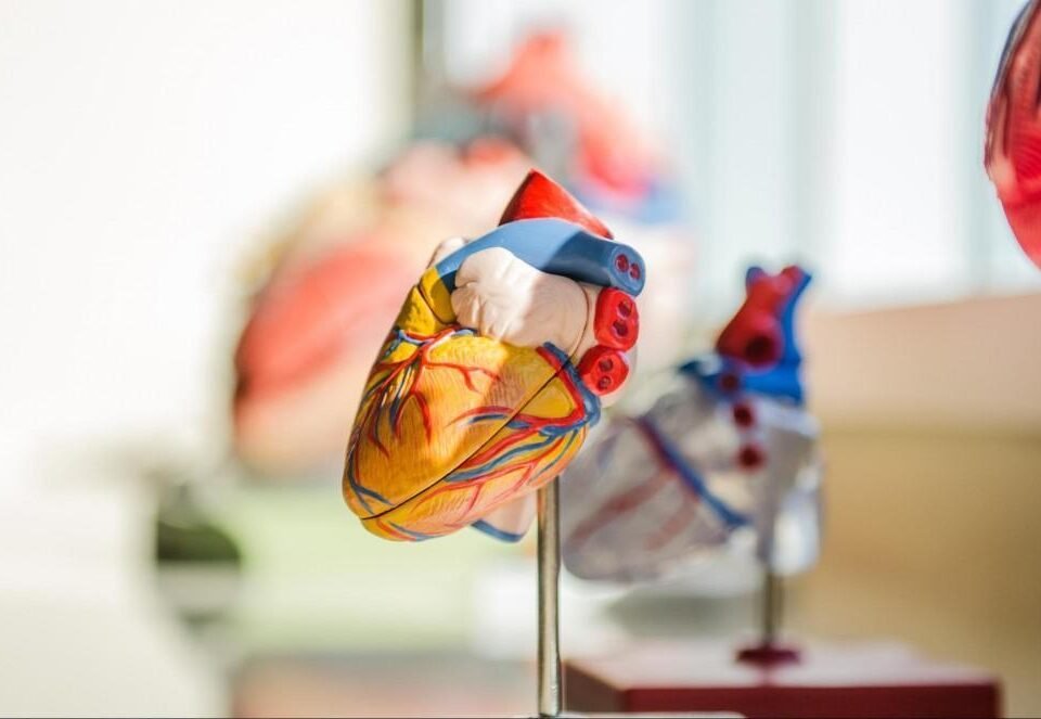 Tips for Discussing Heart Health With Your Cardiologist