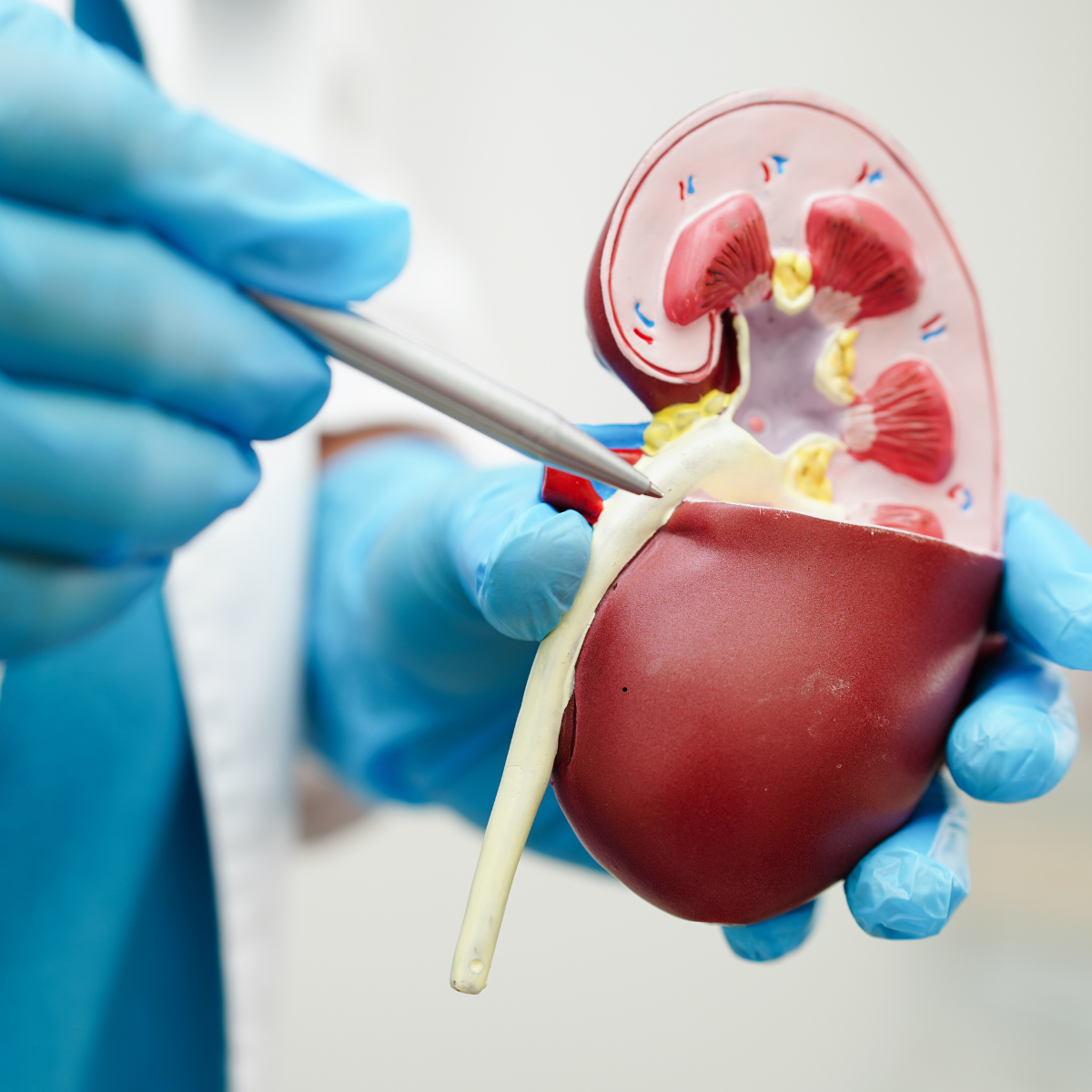 Urology