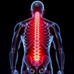 How a Spine Neurosurgeon Can Help With Spinal Disorders